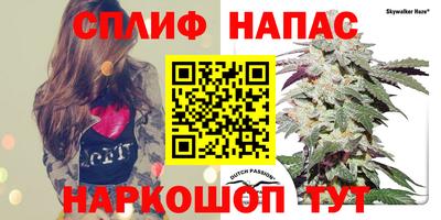 скорость Гатчина